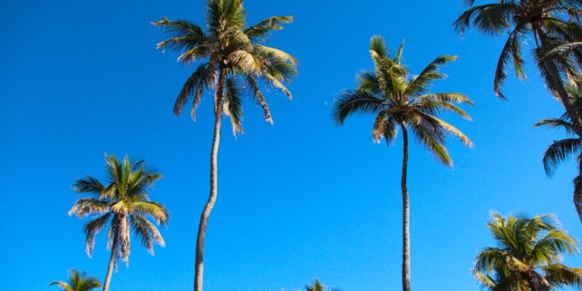 Avantage à l’actionnaire ou dépenses d’affaires : éviter la double imposition